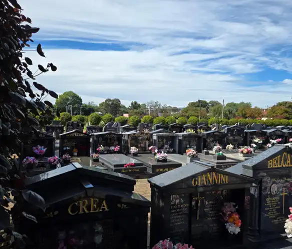 Makes an Eco Funeral